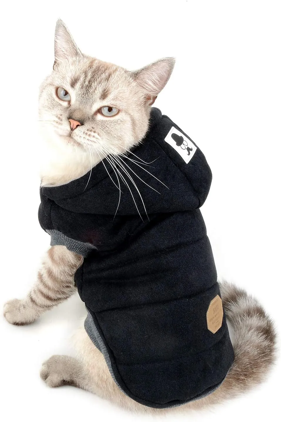 Ranphy Cotton Fleece Small Dog Jackets Hoodie for Cold Weather Girl Boy Puppy Cat Winter Coat Sweater 2 Leg Hooded Outfits Pet Soft Vest Clothes Apparel for Chihuahua Poodle Teacup Dog Black S