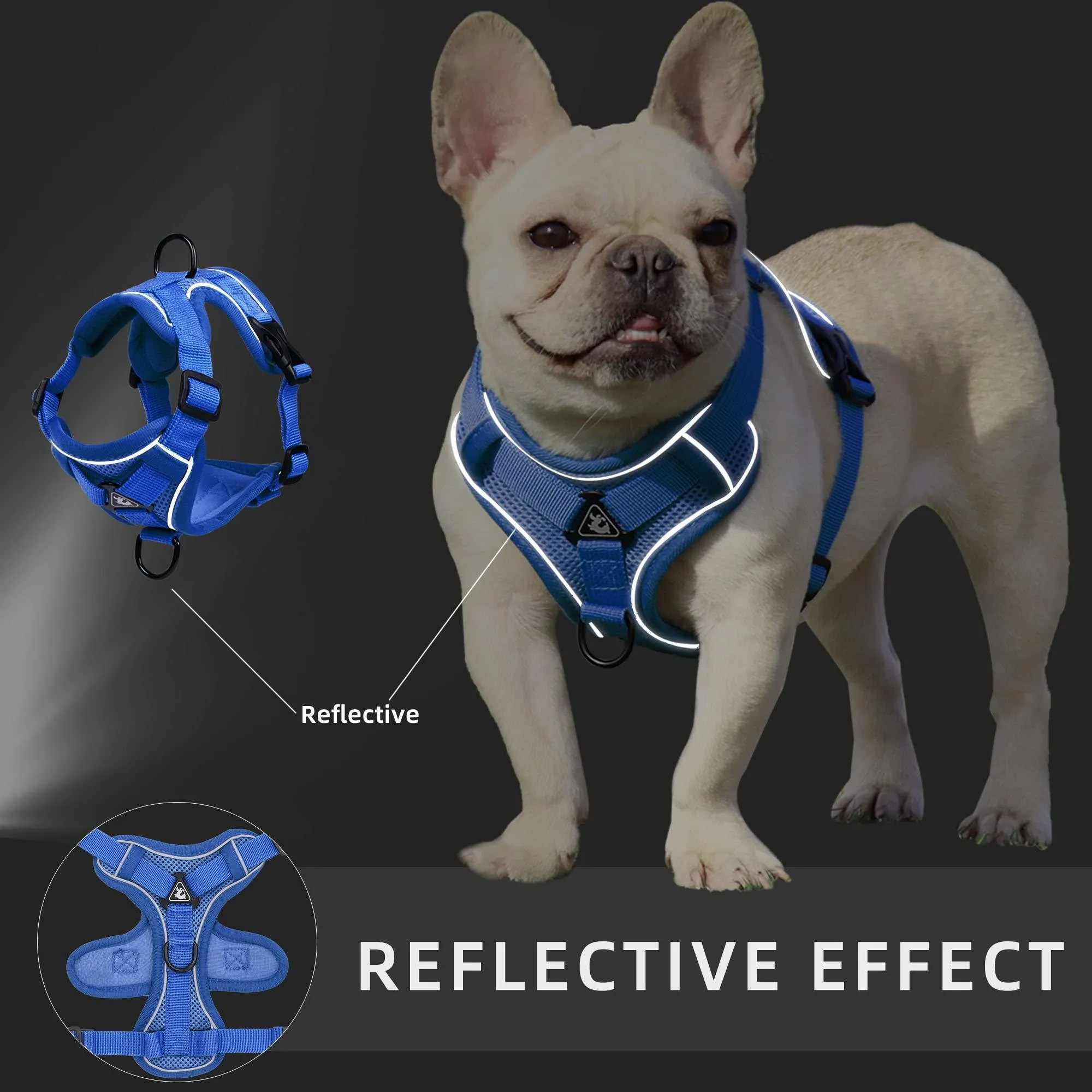 Reflective Adjustable Cat Harness Vest with Leash
