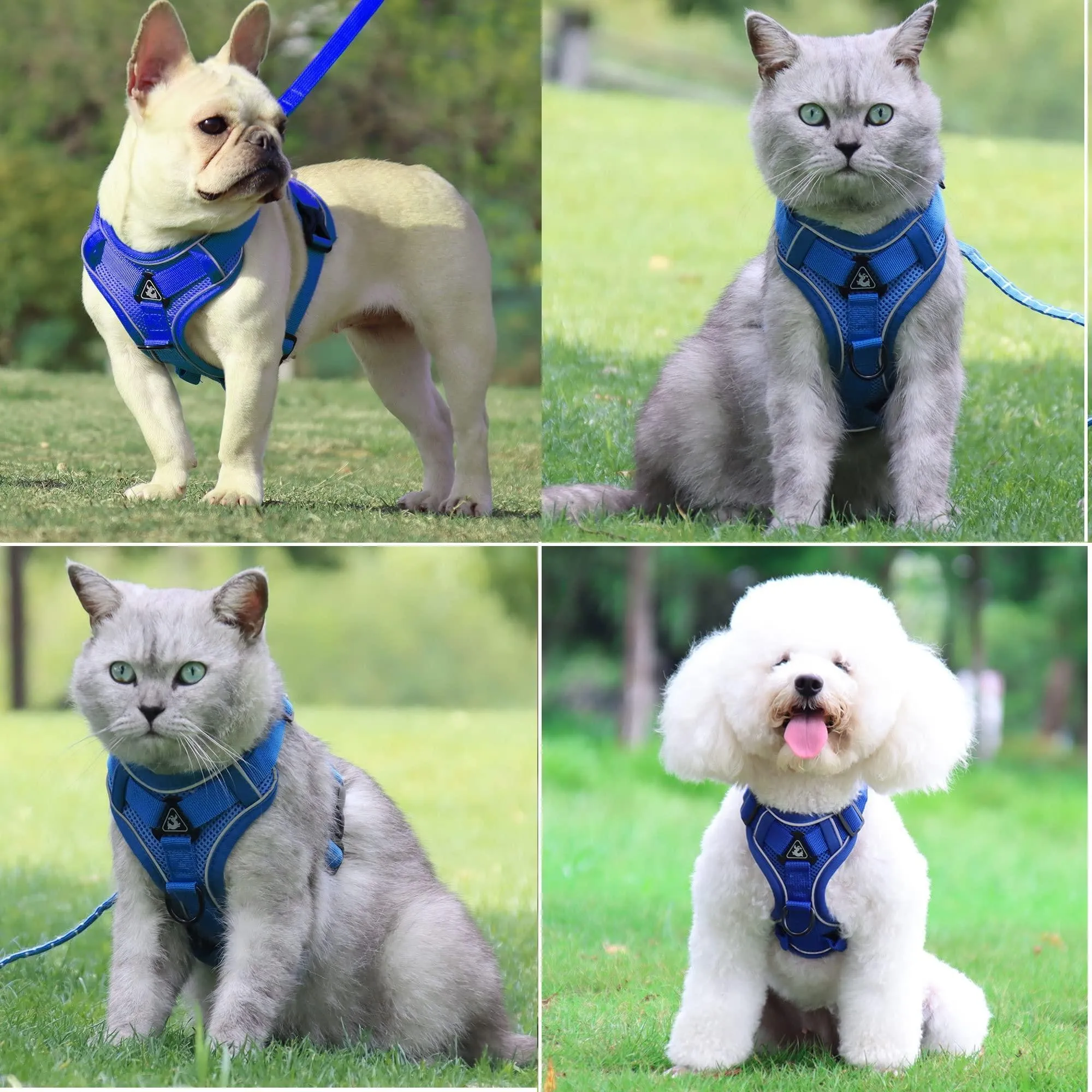 Reflective Adjustable Cat Harness Vest with Leash