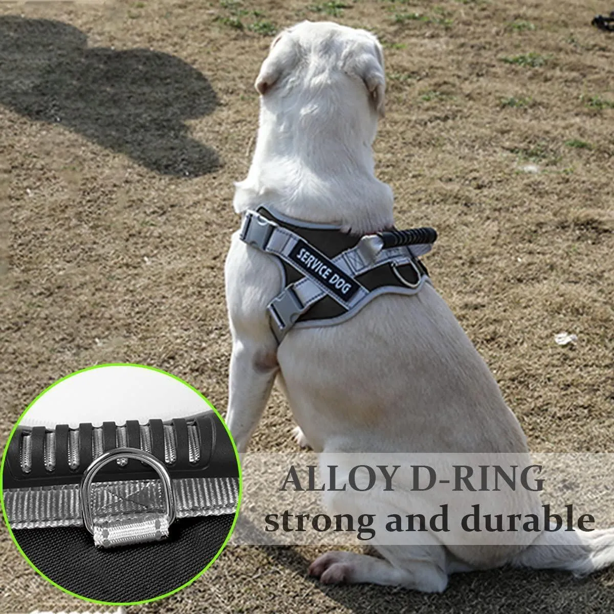 Reflective Nylon Adjustable Custom Dog Harness Vest NO PULL with 5Ft Leash Set