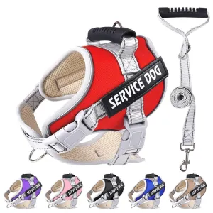 Reflective Nylon Adjustable Custom Dog Harness Vest NO PULL with 5Ft Leash Set