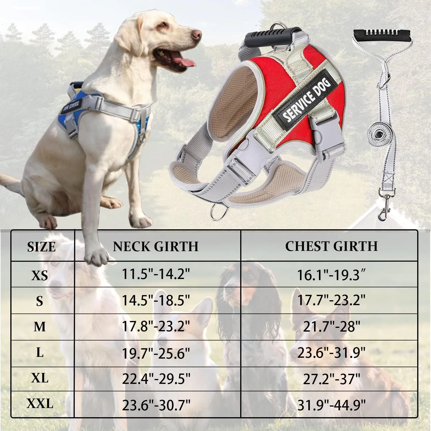 Reflective Nylon Adjustable Custom Dog Harness Vest NO PULL with 5Ft Leash Set