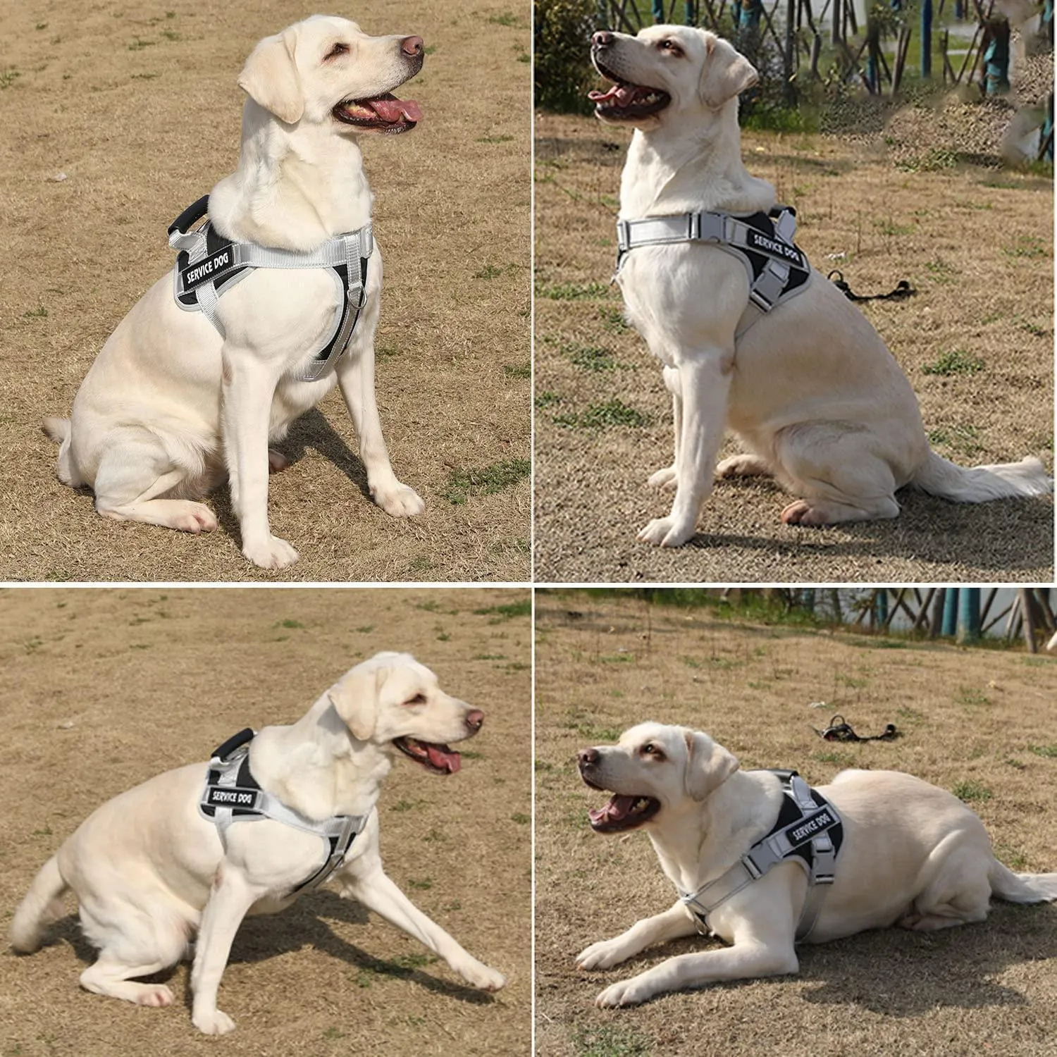 Reflective Nylon Adjustable Custom Dog Harness Vest NO PULL with 5Ft Leash Set
