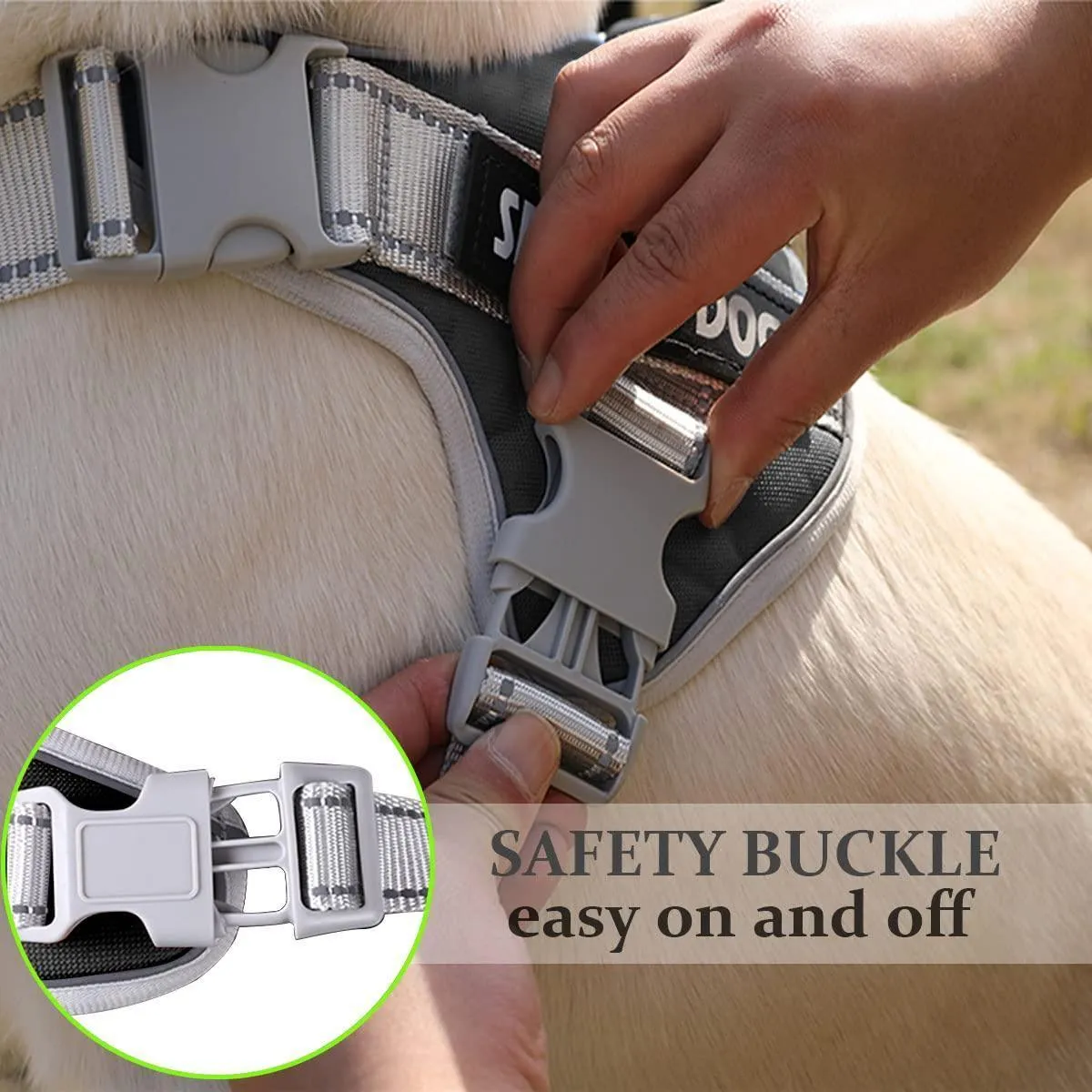 Reflective Nylon Adjustable Custom Dog Harness Vest NO PULL with 5Ft Leash Set