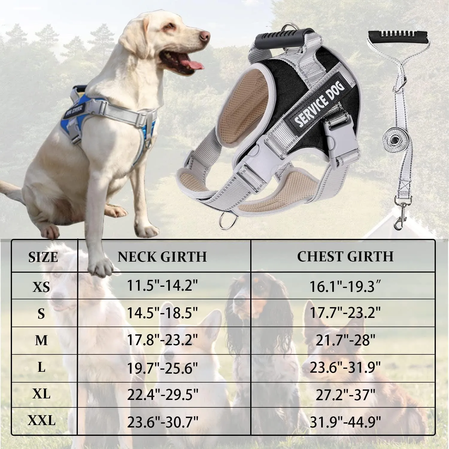 Reflective Nylon Adjustable Custom Dog Harness Vest NO PULL with 5Ft Leash Set