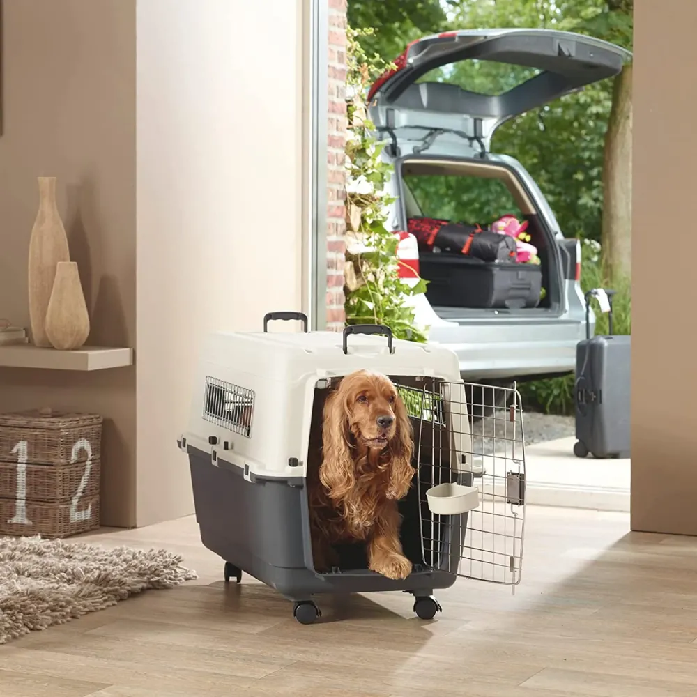 Savic Andes 6 Carrier for Dogs and Cats (Ivory)