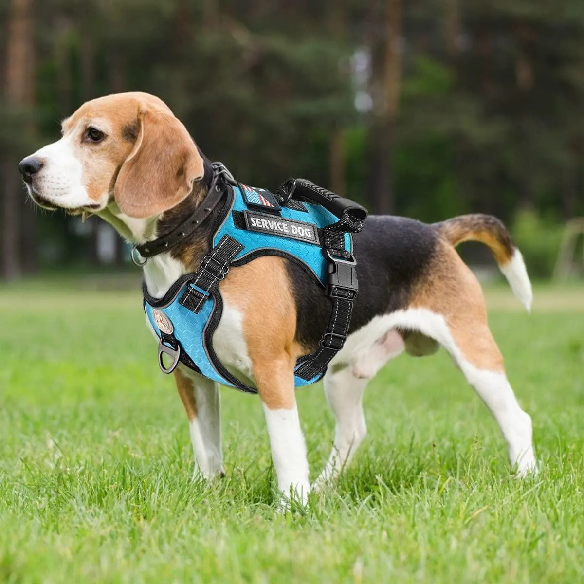 Service Dog Harness No-Pull Reflective Adjustable Soft Oxford Dog Vest Harness with Dog Leash