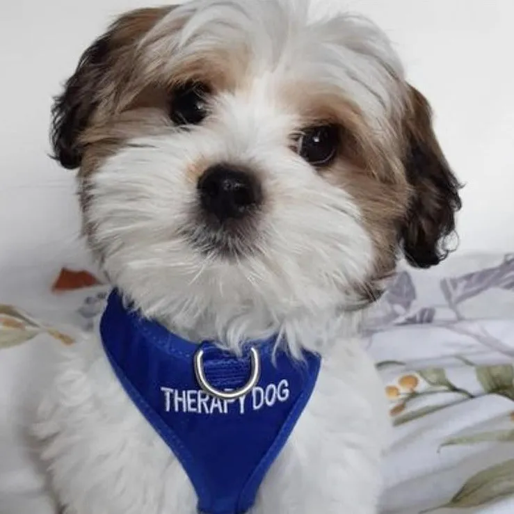THERAPY DOG - XS adjustable Vest Harness