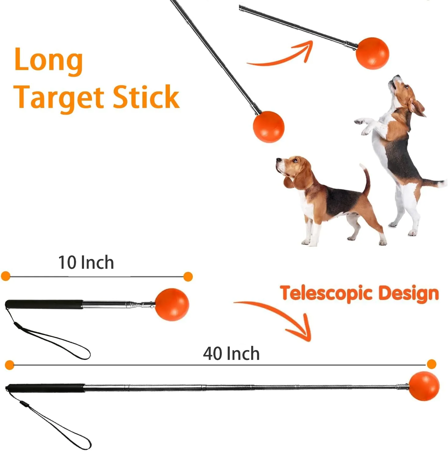 Training Kit - 1 Target Stick, 1 Training Clicker, 1 Whistle - Dog Training Equipment Tools, Cat Toilet Trainer Kit, Agility Training Lure Course For Dogs, Kitten Puppy Behavior Aids Trick (With Bell)