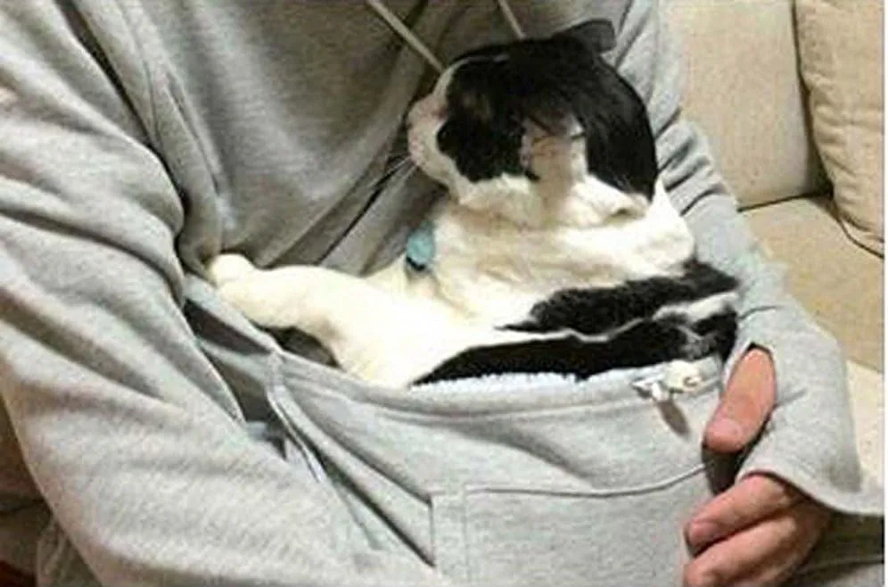 VincentDeep Unisex Cat Ear Big Kangaroo Pouch Hoodie Long Sleeve Pet Cat Dog Holder Carrier Sweatshirt