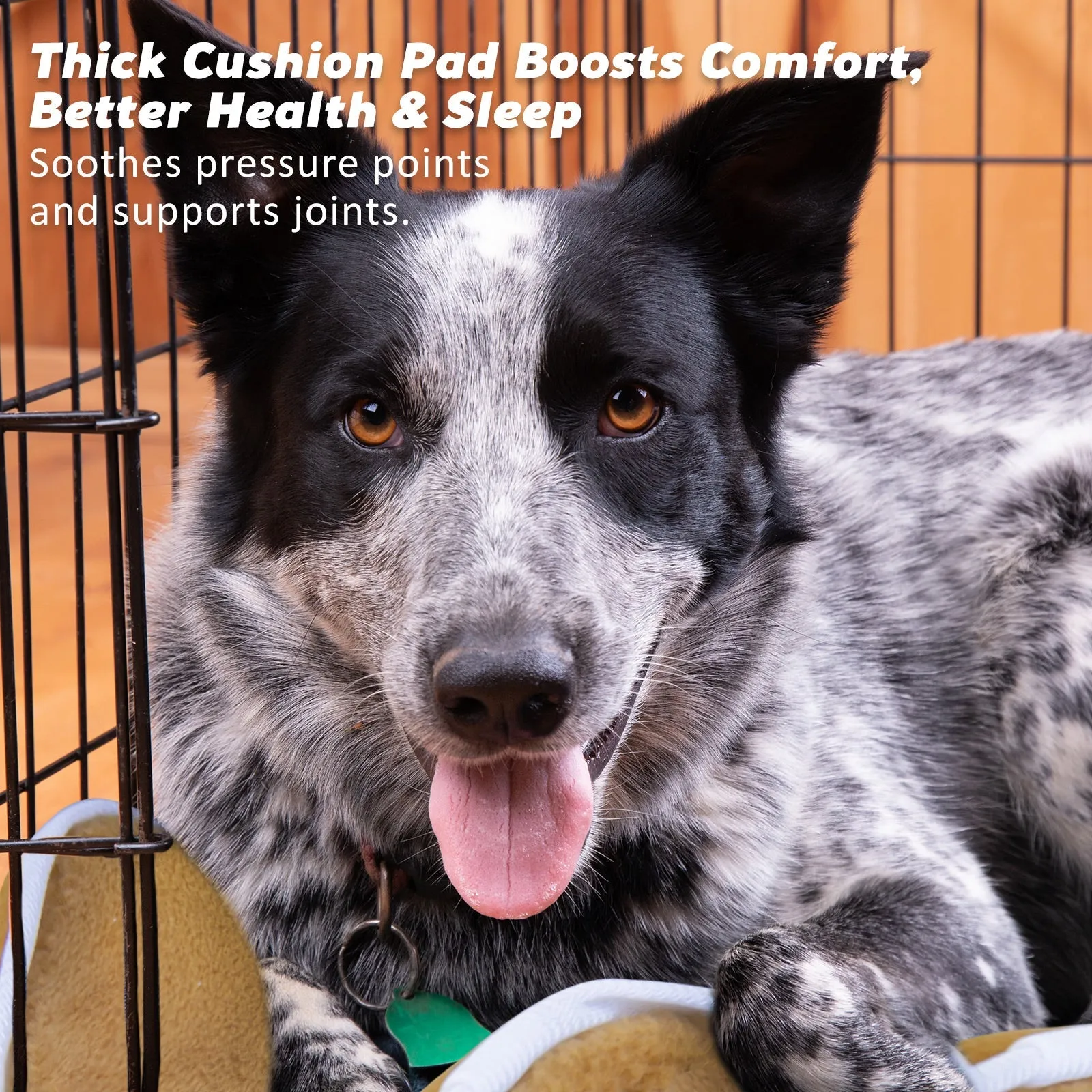Wire Dog Cage Crate 24in with Tray   Cushion Mat   Blue Cover Combo