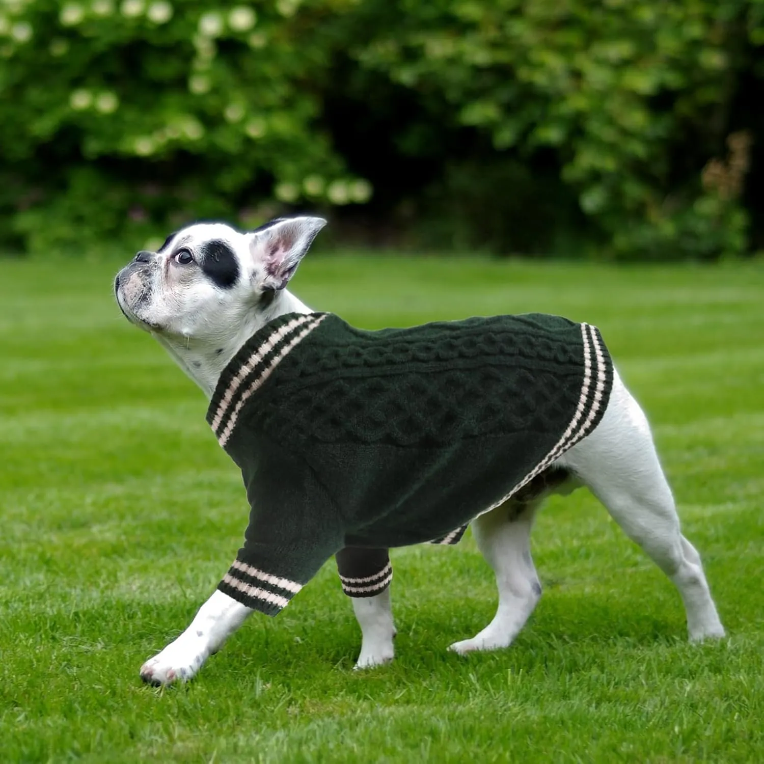 XL Dog Sweater - Extra Large Fit, Perfect for Pitbulls, Boston Terriers and Corgi, XLarge, V-Neck, Christmas & Fall Winter Theme